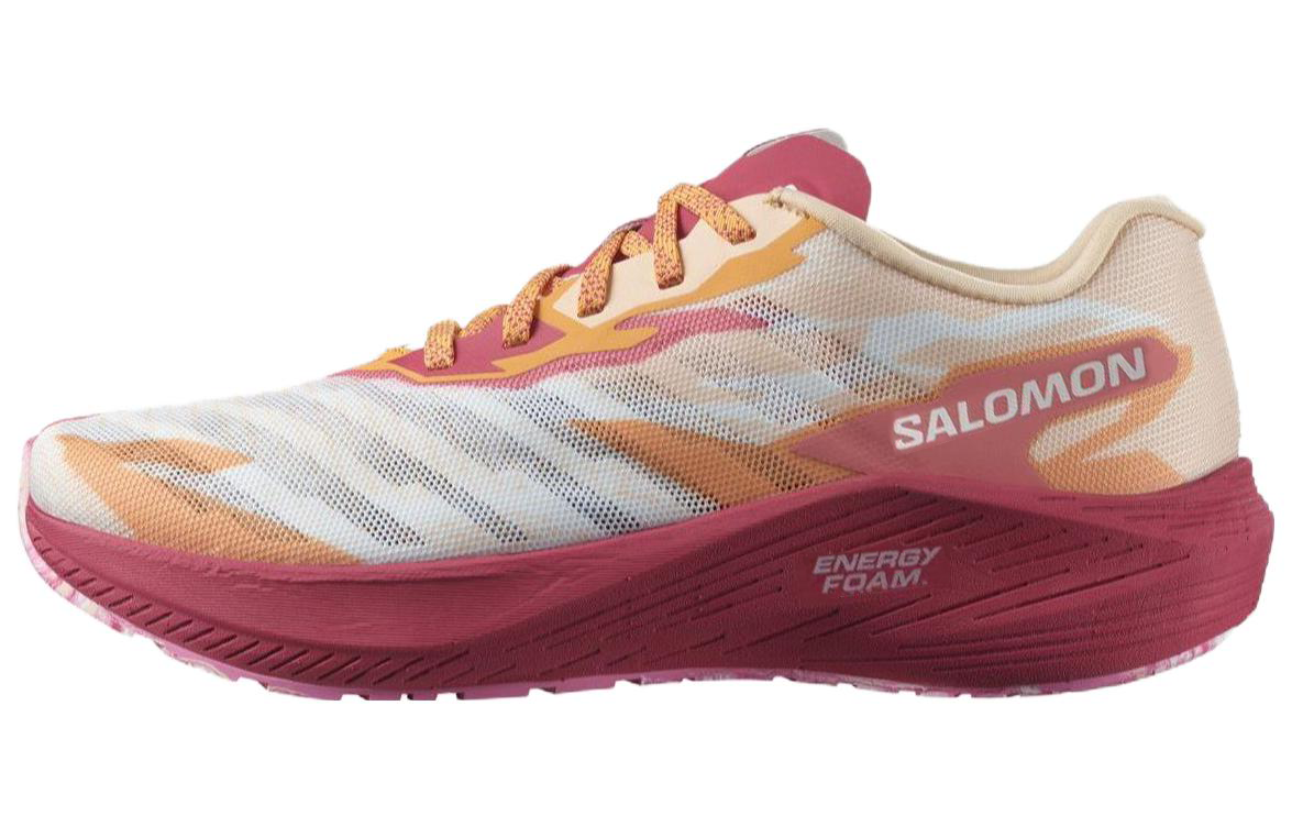 سالامون ایرو ولت (Salomon Aero Volt)